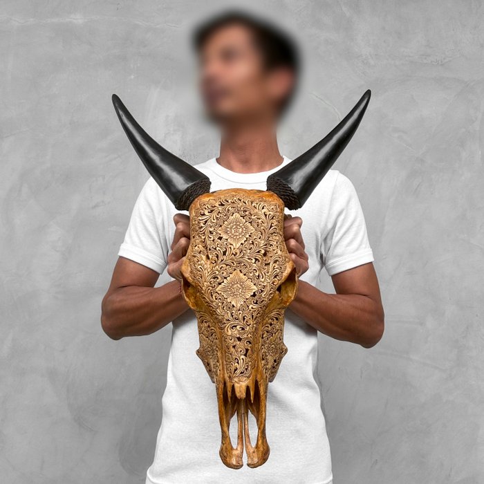 INGEN RESERVEPRIS - Autentisk håndskåret brun ko-kranie - Traditionelt balinesisk motiv - Indgraveret kranie - Bos taurus - 57 cm - 43 cm - 17 cm- Ikke-CITES arter -  (1)