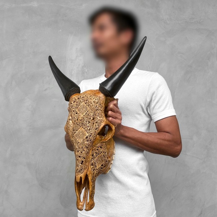 INGEN RESERVEPRIS - Autentisk håndskåret brun ko-kranie - Traditionelt balinesisk motiv - Indgraveret kranie - Bos taurus - 57 cm - 43 cm - 17 cm- Ikke-CITES arter -  (1)