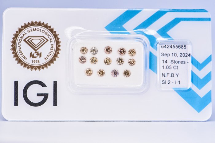 Ingen mindstepris - 14 pcs Diamant  (Naturfarvet)  - 1.05 ct - Rund - Fancy Brun Gul - I1, SI2 - International Gemological Institute (IGI)