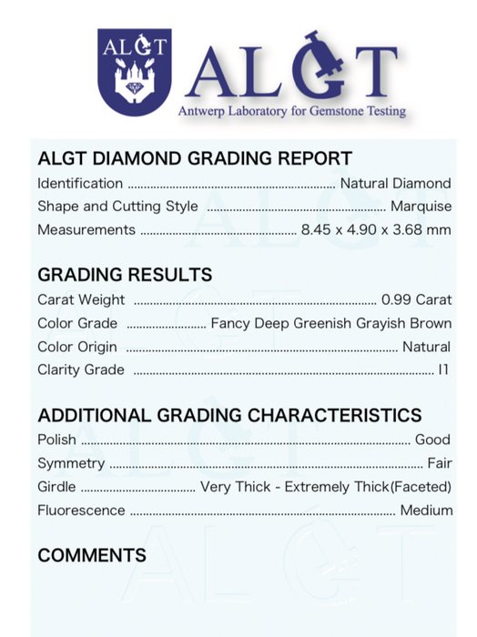 1 pcs Diamant  (Naturfarvet)  - 0.99 ct - Marquise - Fancy deep Grålig, Grønlig Brun - I1 - Antwerp Laboratory for Gemstone Testing (ALGT)