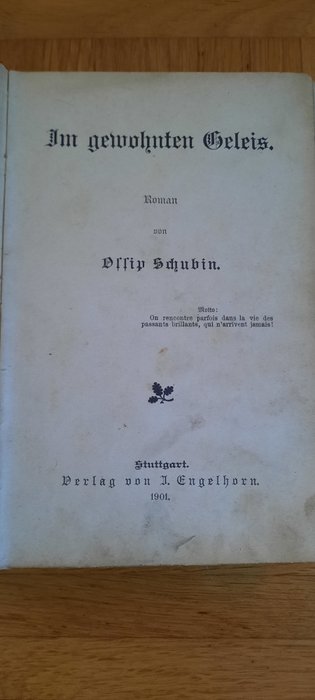 Ossip Schubin - Im gewohnten Geleis - 1901