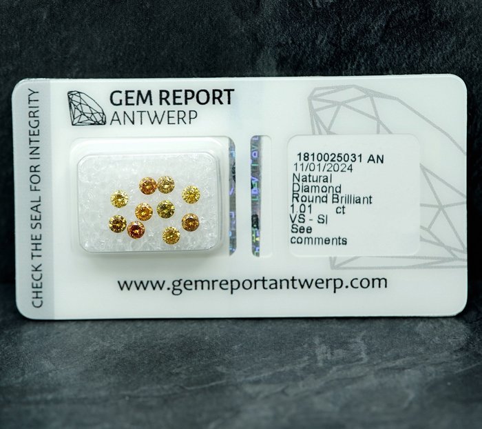 10 pcs Diamant  (Natur)  - 1.01 ct - SI1, VS1 - Gem Report Antwerp (GRA)