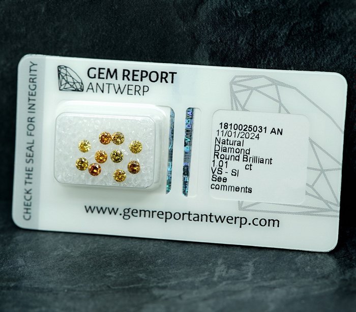 10 pcs Diamant  (Natur)  - 1.01 ct - SI1, VS1 - Gem Report Antwerp (GRA)