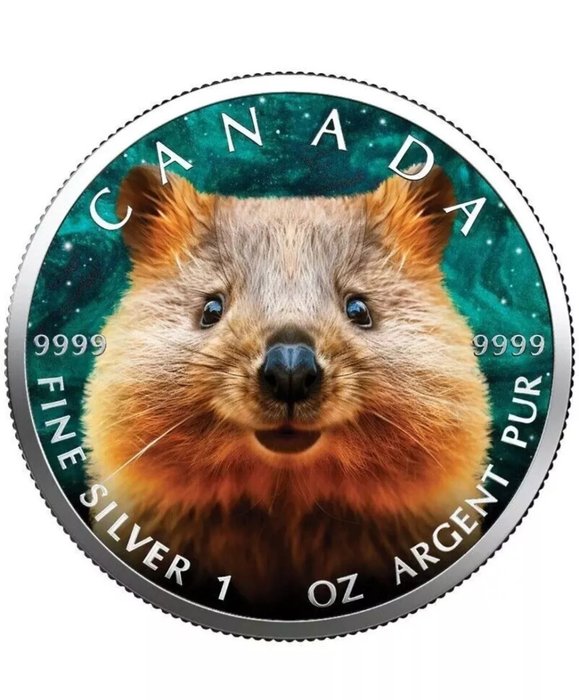 Canada. 5 Dollars 2024 Maple Leaf - Quokka, 1 Oz (.999)  (Ingen mindstepris)