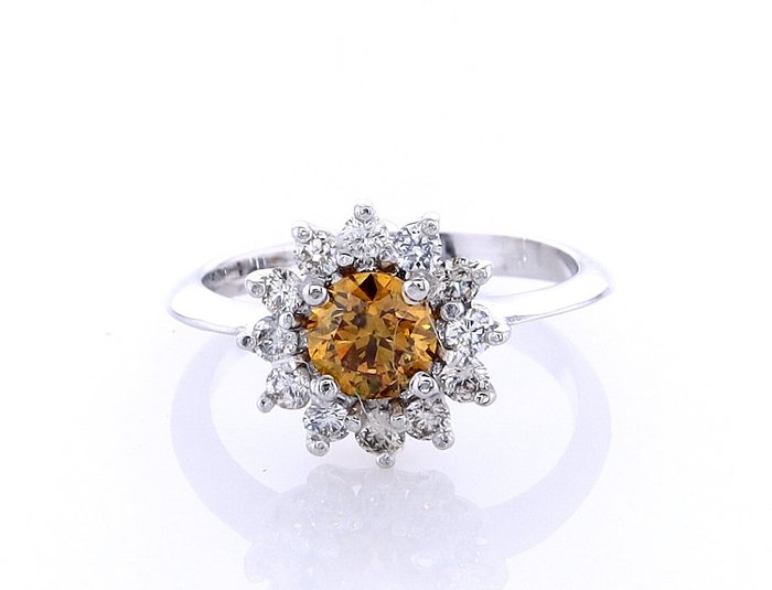 Ring - 14 karat Hvidguld -  0.63ct. tw. Diamant (Naturfarvet) - Diamant