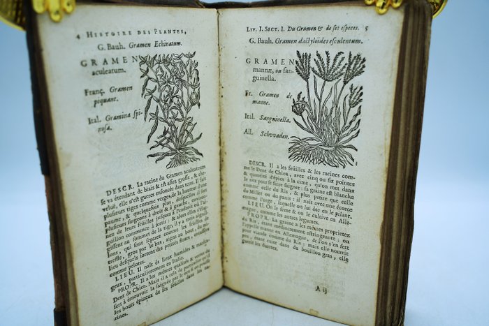 Jean-Baptiste Deville - Histoire des plantes de l'Europe et des plus usitées qui viennent d'Asie d'Afrique  d'Amérique - 1737