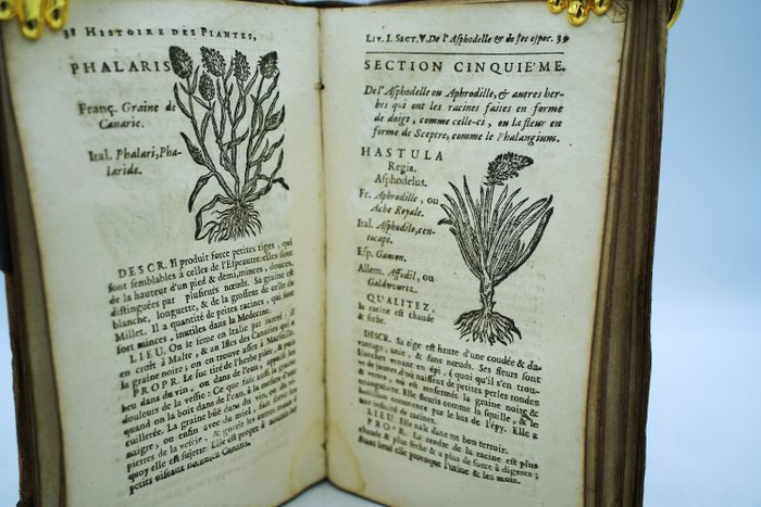 Jean-Baptiste Deville - Histoire des plantes de l'Europe et des plus usitées qui viennent d'Asie d'Afrique  d'Amérique - 1737