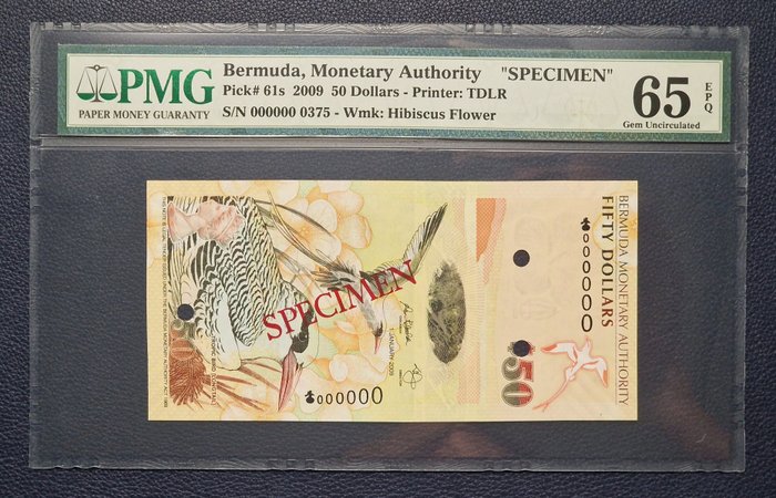 Bermuda (Britisk Oversøisk Territorie). - 50 Dollars - 2009 - "Specimen" - Pick 61s  (Ingen mindstepris)