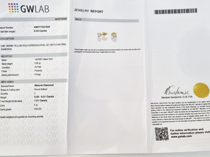 Ørestikkere - 14 karat Gulguld -  1.01ct. tw. Diamant (Natur)