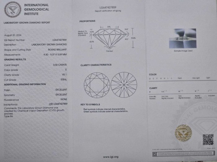 Øreringe Platin -  605ct tw Diamant (Laboratoriedyrket) - E VS1