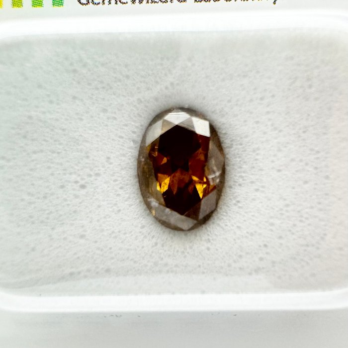 Ingen mindstepris - 1 pcs Diamant  (Naturfarvet)  - 1.11 ct - Oval - Fancy deep Gul Brun - I1 - Gemewizard Gemological Laboratory (GWLab)