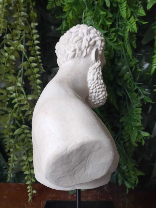 Skulptur, Busto dell'ercole farnese - 34 cm - marmorstøv