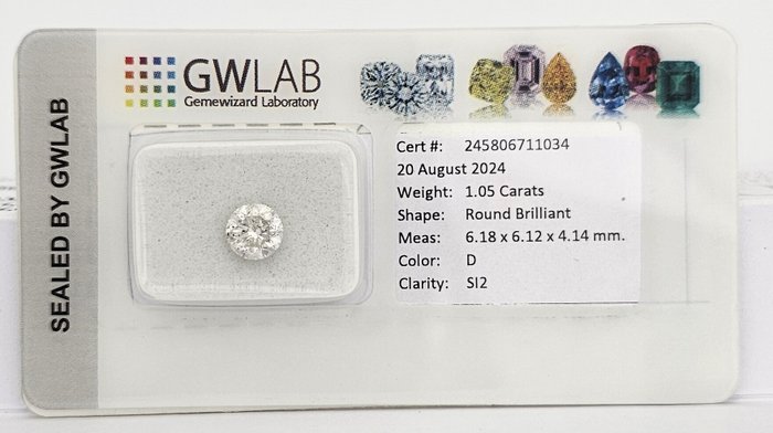 1 pcs Diamant  (Natur)  - 1.05 ct - Rund - D (farveløs) - SI2 - Gemewizard Gemological Laboratory (GWLab)