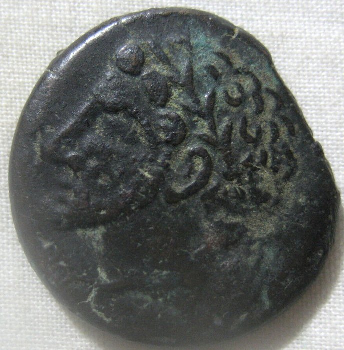 Kongeriget Numidien. Micipsa or Massinissa. AE Unit 203-118 BC  (Ingen mindstepris)