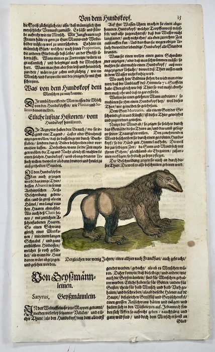 Conrad Gesner [1516-1565], Konrad Gessner - Mythological Creatures, Monsters, Satyr, folio with hand coloured woodcut - 1669