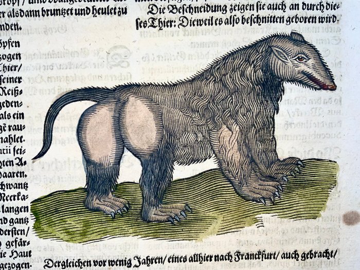 Conrad Gesner [1516-1565], Konrad Gessner - Mythological Creatures, Monsters, Satyr, folio with hand coloured woodcut - 1669