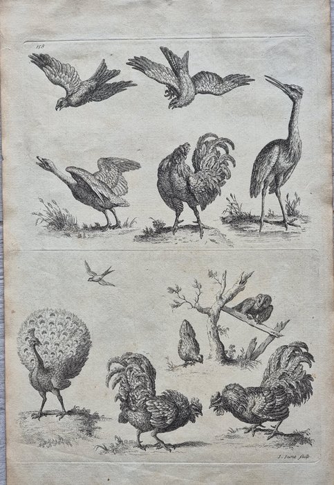 August Johann Rösel von Rosenhof / Robert Sayer - Lot of 4 plates from "A Collection of Curious Insects" - 1750