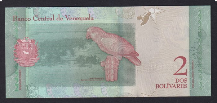 Verden. - Egypt - 250 x 50 Piastres and Venezuela - 1000 x 2 Bolivares - original bundles  (Ingen mindstepris)