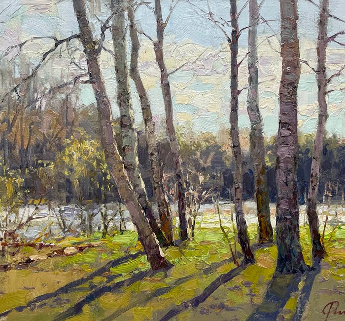 Sergei Flitov (1964) - Au Cœur de la Forêt - Bosquet de Bouleaux au Printemps