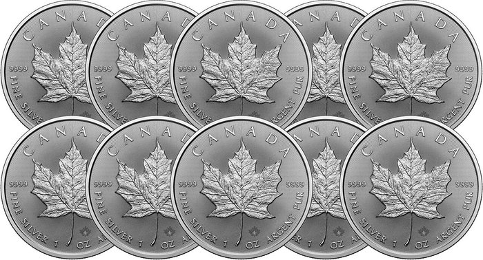 10 Troy Ounce - Sølv 999 - Maple Leaf 2025 - 311 gram - fine silver