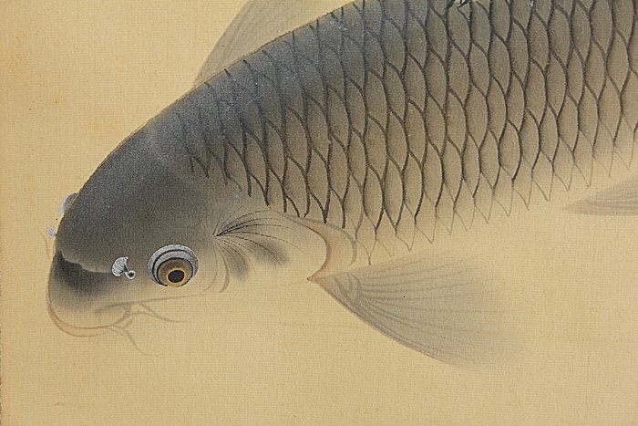 Carps - With signature and seal Gyokushu 玉湖 - Japan  (Ingen mindstepris)