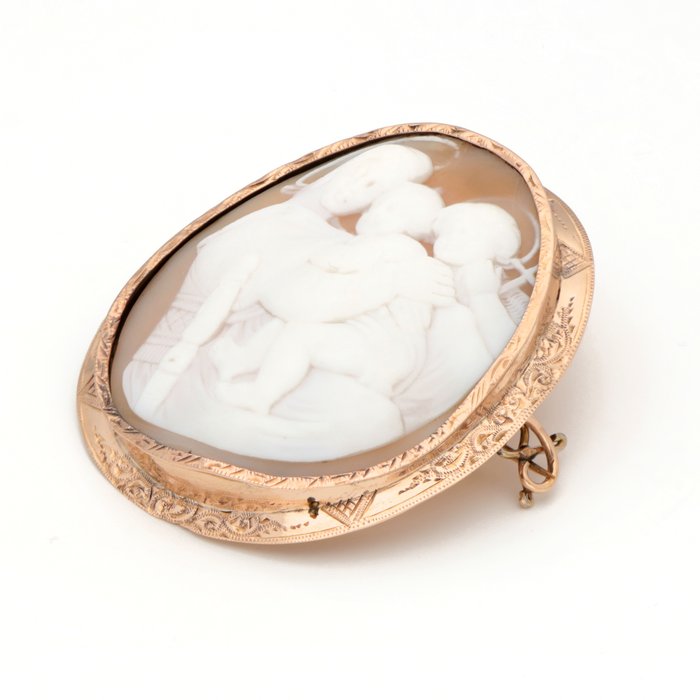 Ingen mindstepris - Broche - 14 karat Rosaguld - Cameo