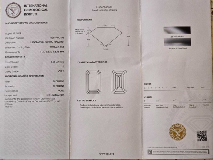 Ingen mindstepris - Ring Platin -  503ct tw Diamant (Laboratoriedyrket) - EVVS2