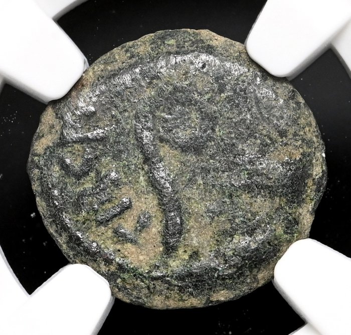 Judaea Pontius Pilatus (AD 26-36) Prutah