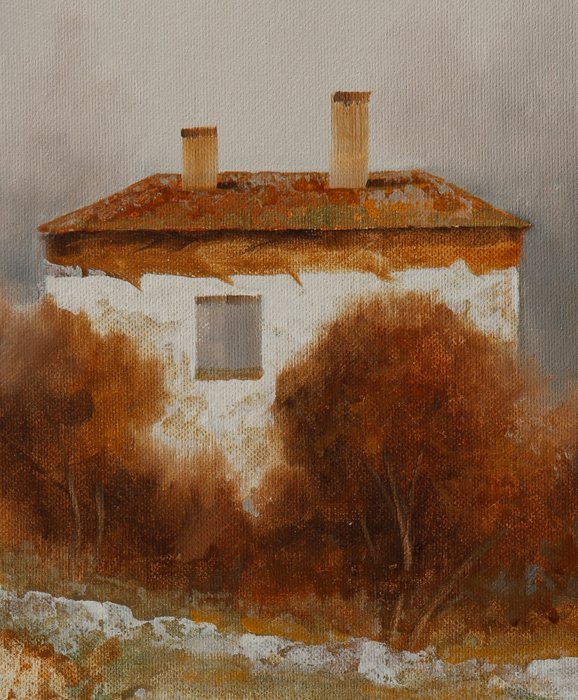 Guido Borelli - casa colante