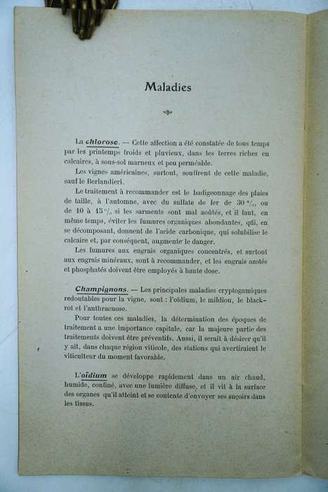 M.L. Arveuf - Petit manuel d'Agriculture pour le sud-ouest, Culture de la vigne dans le Bassin de la Garonne - 1912