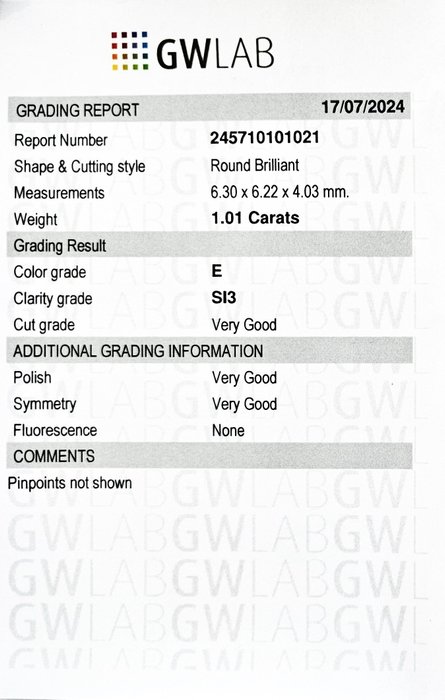 1 pcs Diamant  (Natur)  - 1.01 ct - Rund - E - SI3 - Gemewizard Gemological Laboratory (GWLab)