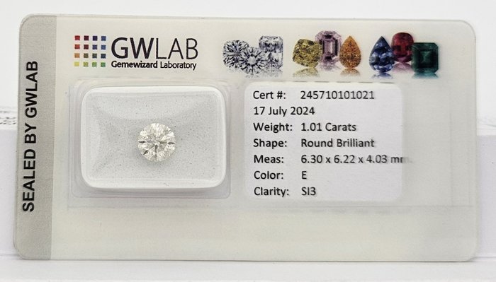 1 pcs Diamant  (Natur)  - 1.01 ct - Rund - E - SI3 - Gemewizard Gemological Laboratory (GWLab)