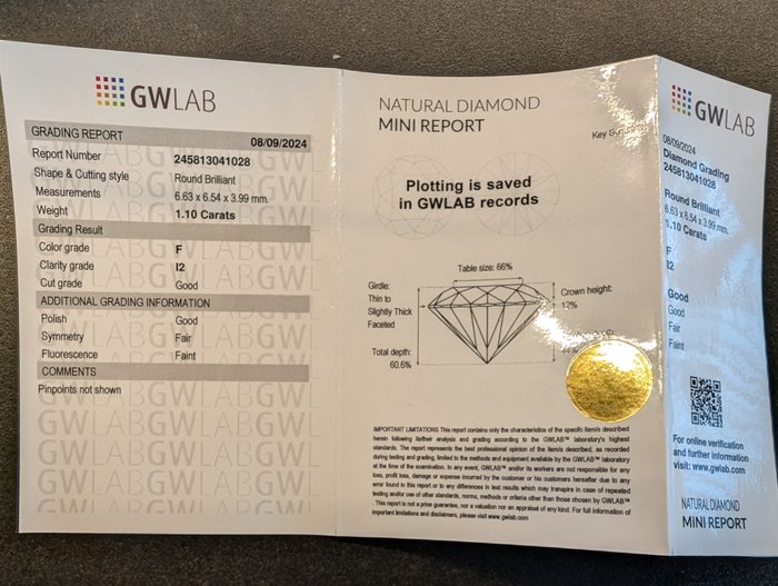 Ingen mindstepris - 1 pcs Diamant  (Natur)  - 1.10 ct - Rund - F - I2 - Gemewizard Gemological Laboratory (GWLab)