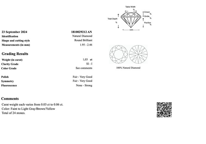 Ingen mindstepris - 24 pcs Diamant  (Natur)  - 1.03 ct - Rund - I3, SI1 - Gem Report Antwerp (GRA)