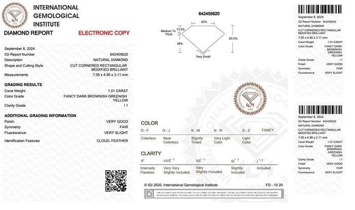 Ingen mindstepris - 1 pcs Diamant  (Naturfarvet)  - 101 ct - Radiant - Fancy dark Brunlig Grønlig Gul - I1 - International Gemological Institute (IGI)