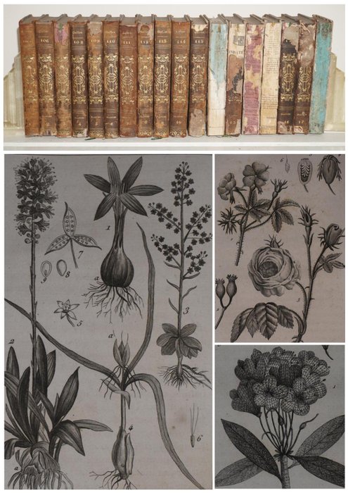 C F Brisseau-Mirbel - Histoire naturelle generale et particuliere des plantes [18-volume set] - 1802-1806