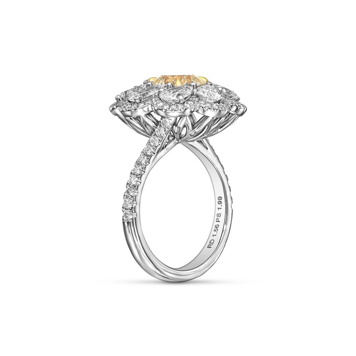 Forlovelsesring - 18 kraat Hvidguld -  399ct tw Diamant (Natur)