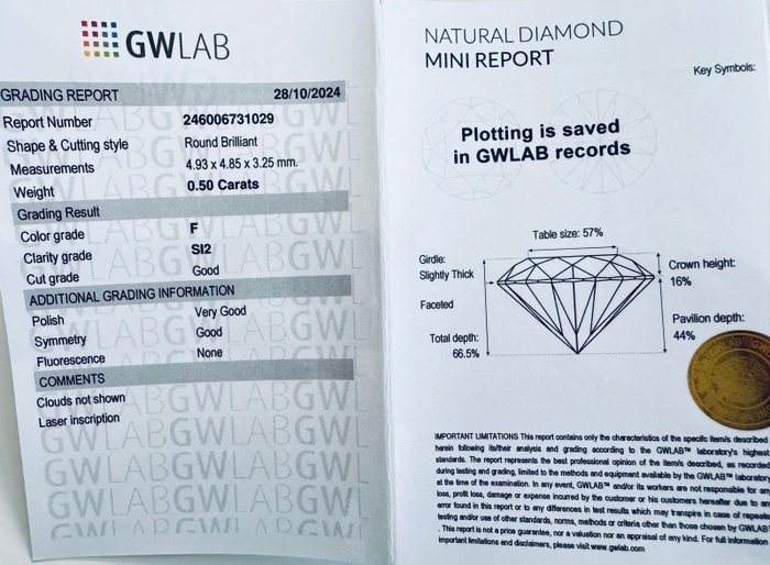 Ingen mindstepris - 1 pcs Diamant  (Natur)  - 0.50 ct - Rund - F - SI2 - Gemewizard Gemological Laboratory (GWLab)