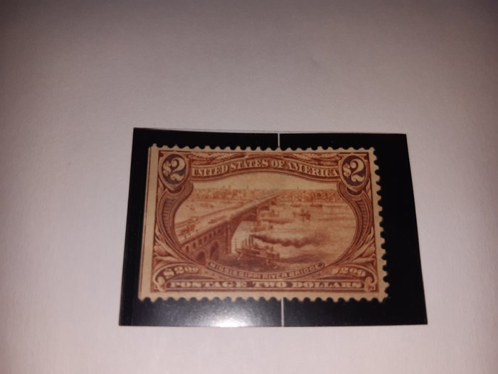 Nordamerika 1898/1898 - 1898 - Trans-Mississippi udstilling - #293 Scott