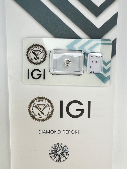 1 pcs Diamant  (Natur)  - 1.01 ct - Rund - E - VS2 - International Gemological Institute (IGI)