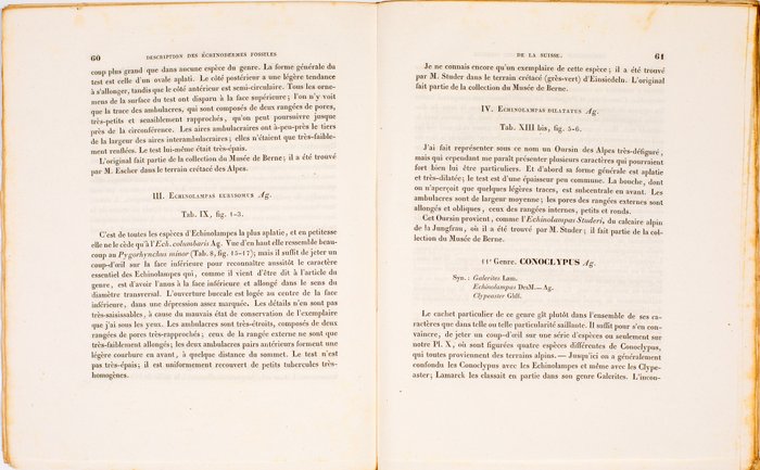 Louis Agassiz - Spatangoides et Clypéastroides, Cidarides - Description des Échinodermes fossiles de la Suisse - 1838-1840