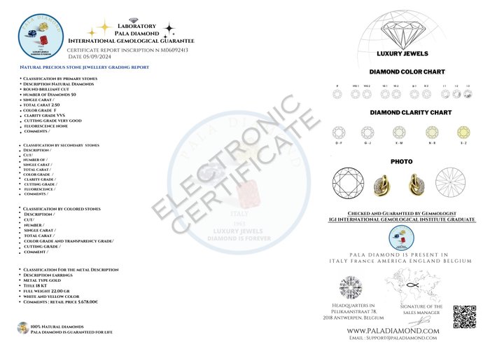 Pala Diamond - Statement øreringe - 18 kraat Gulguld Hvidguld -  250ct tw Diamant (Natur)