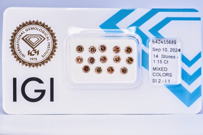 Ingen mindstepris - 14 pcs Diamant  (Naturfarvet)  - 1.15 ct - Rund - Fancy, Fancy deep Brun, Orange Brun, Orange - I1, SI2 - International Gemological Institute (IGI)