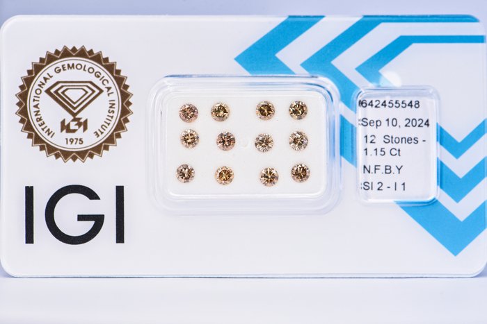 Ingen mindstepris - 12 pcs Diamant  (Naturfarvet)  - 1.15 ct - Rund - Fancy Brun Gul - I1, SI2 - International Gemological Institute (IGI)