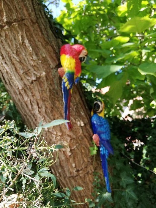 Statuette - Parrots on a tree (2) - Jern