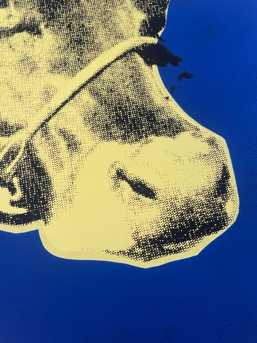 Andy Warhol (after) - (1928-1987),Cow, 1971 ( blue yellow), copyright 2013 The Andy Warhol Foundation for the Visual