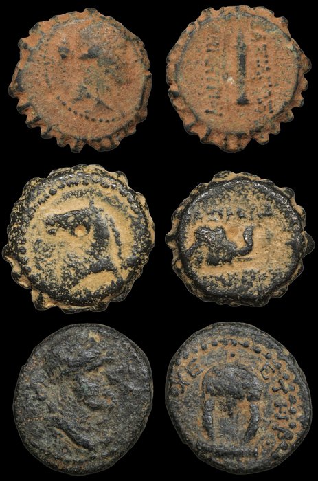 Grækenland (gamle) Lot of 3 Æ coins incl: Demetrios I  Seleucis and Pieria  (Ingen mindstepris)