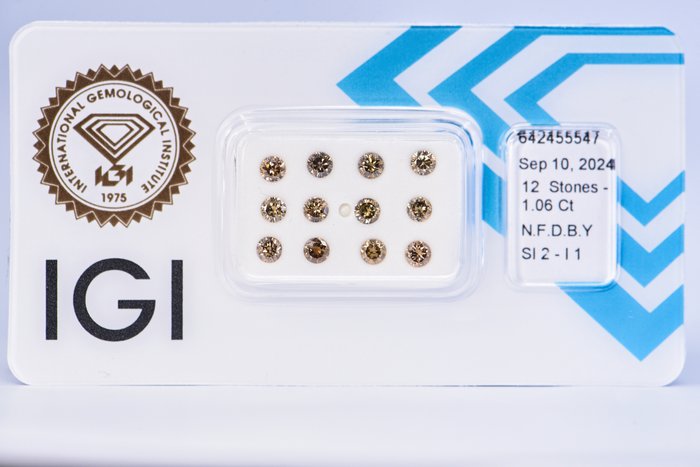 Ingen mindstepris - 12 pcs Diamant  (Naturfarvet)  - 1.06 ct - Rund - Fancy deep Brun Gul - I1, SI2 - International Gemological Institute (IGI)