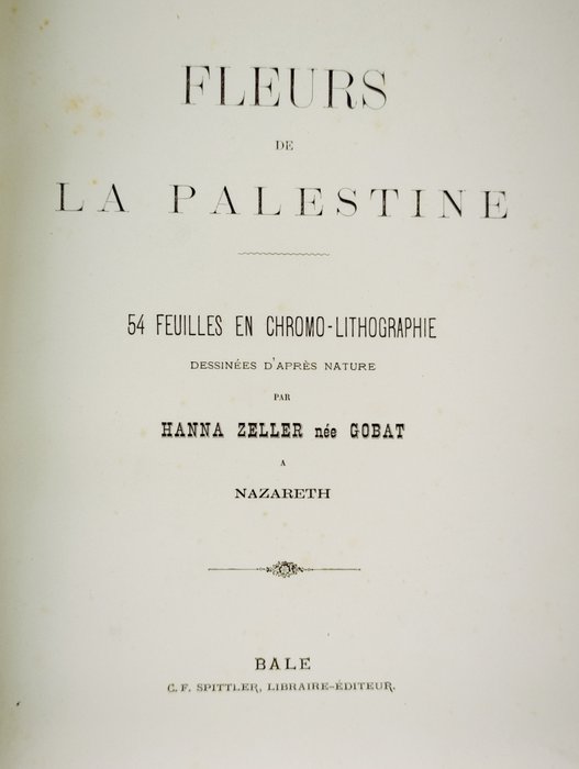 H. Zeller - Fleurs de la Palestine - 1880