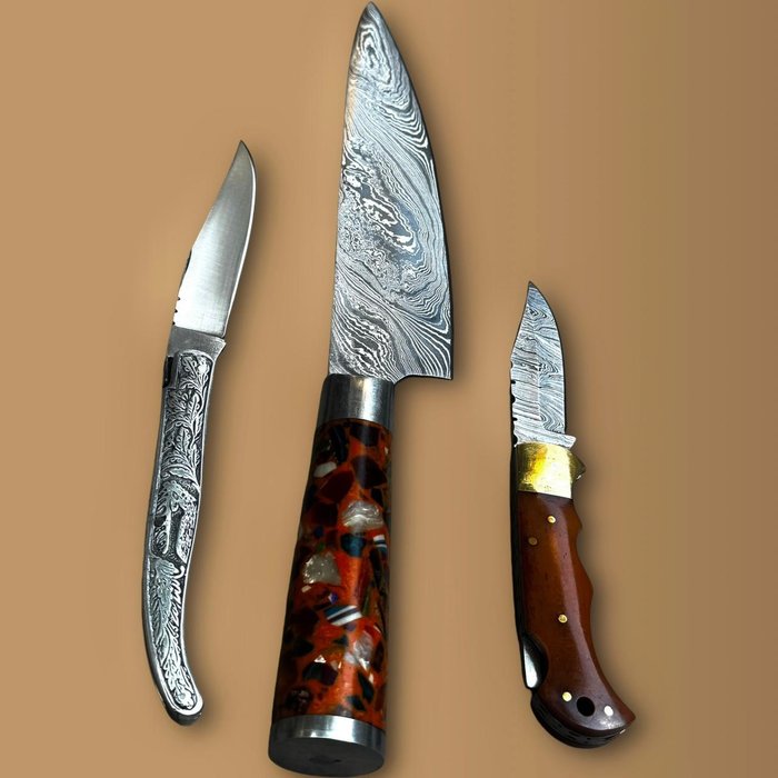 Køkkenkniv - Chef's knife - Harpiks, Knogle, Stål, 3, af slagsen japansk stil køkkenkniv og gamle franske traditionelle Laguiole mix knive, smedet i - Asien